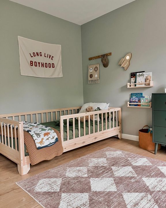 Aiden Toddler House Bed with Rails